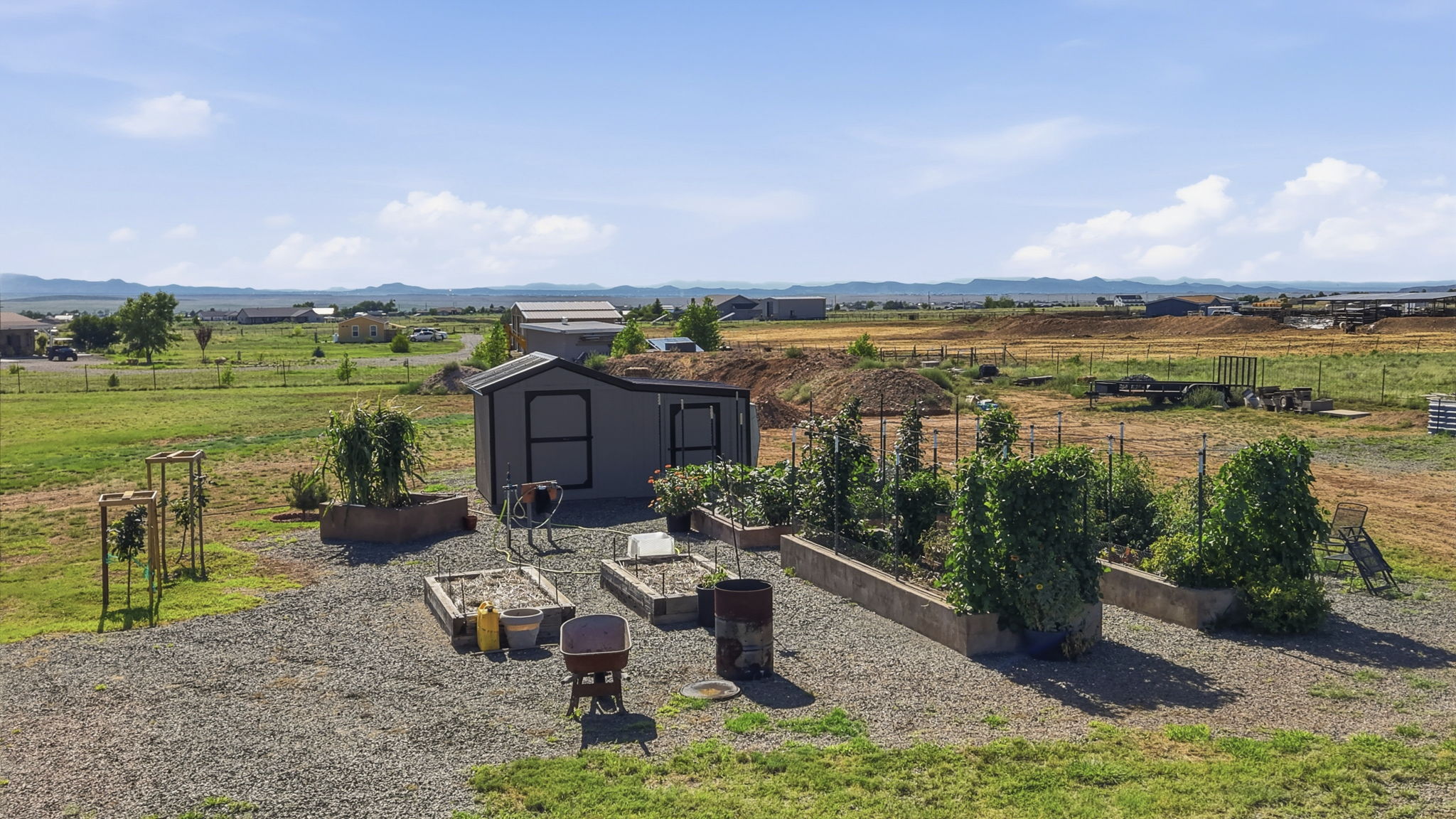 Garden Shed and Garden
