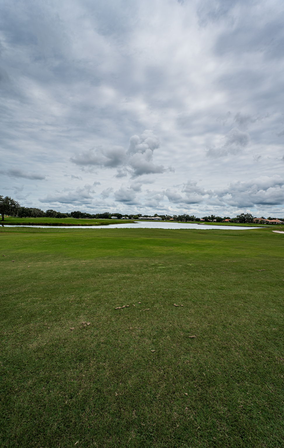 Golf Course2