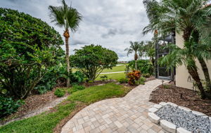 Backyard2-2