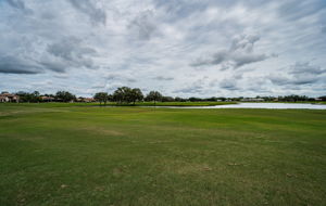 Golf Course1