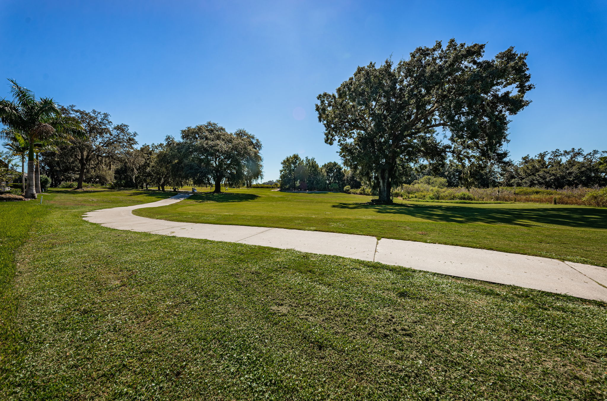 Backyard and Golf Course3