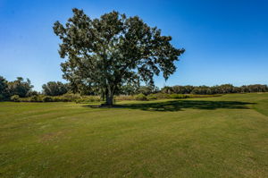 Backyard and Golf Course2