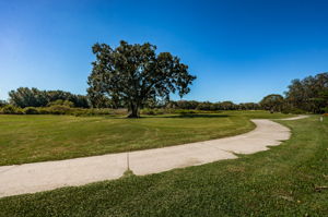 Backyard and Golf Course1