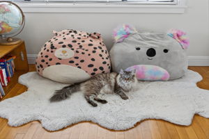  Photo 46