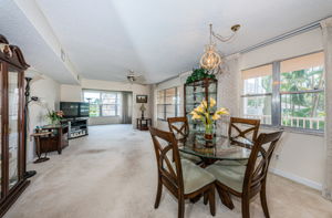 Dining & Living Room