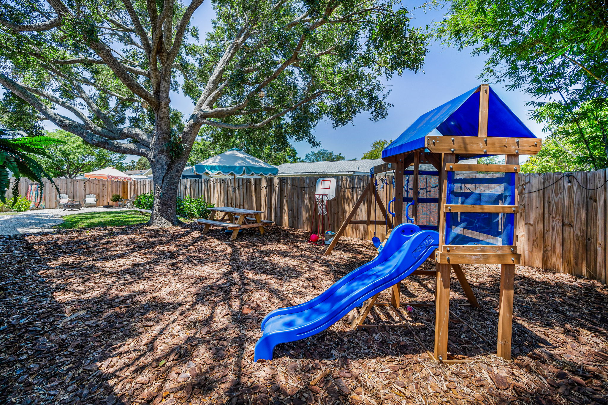 Backyard2