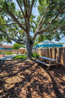 Backyard3