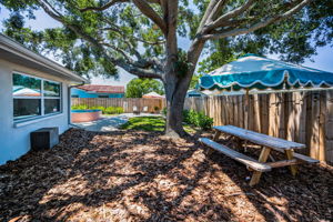Backyard4