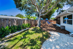 Backyard14