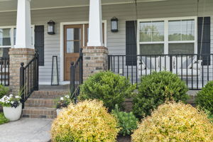  Photo 49