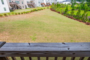 View from Deck.