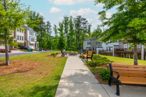 Community Firepit