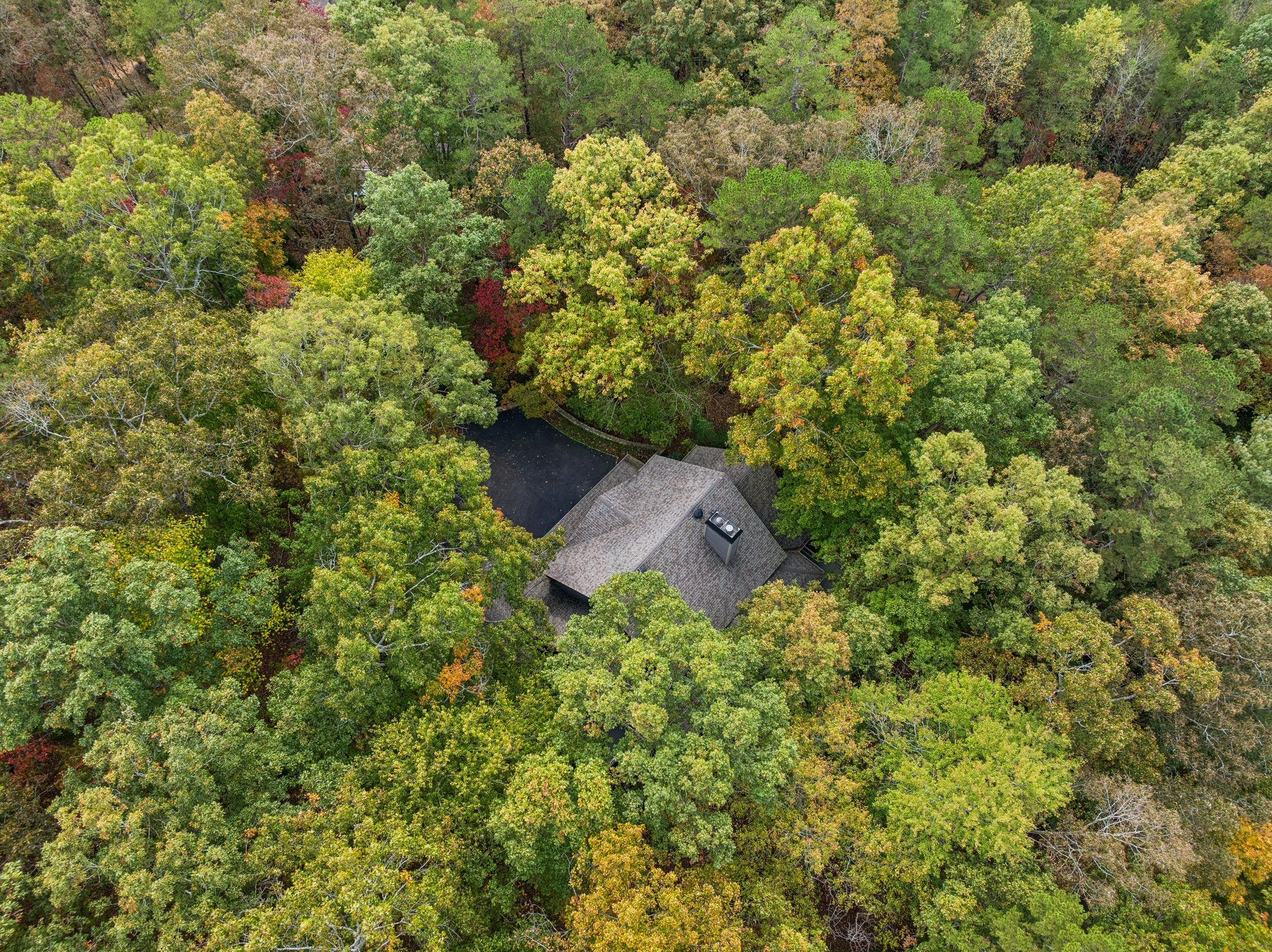 Local_Flavor_films-996 Wedgewood Dr, Jasper, GA 30143-391.jpg