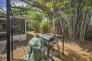 Backyard Patio3