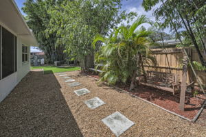 Backyard2