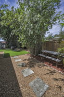 Backyard3