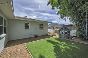 Backyard6