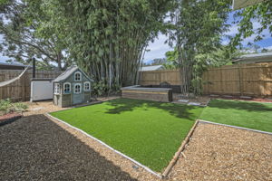 Backyard7