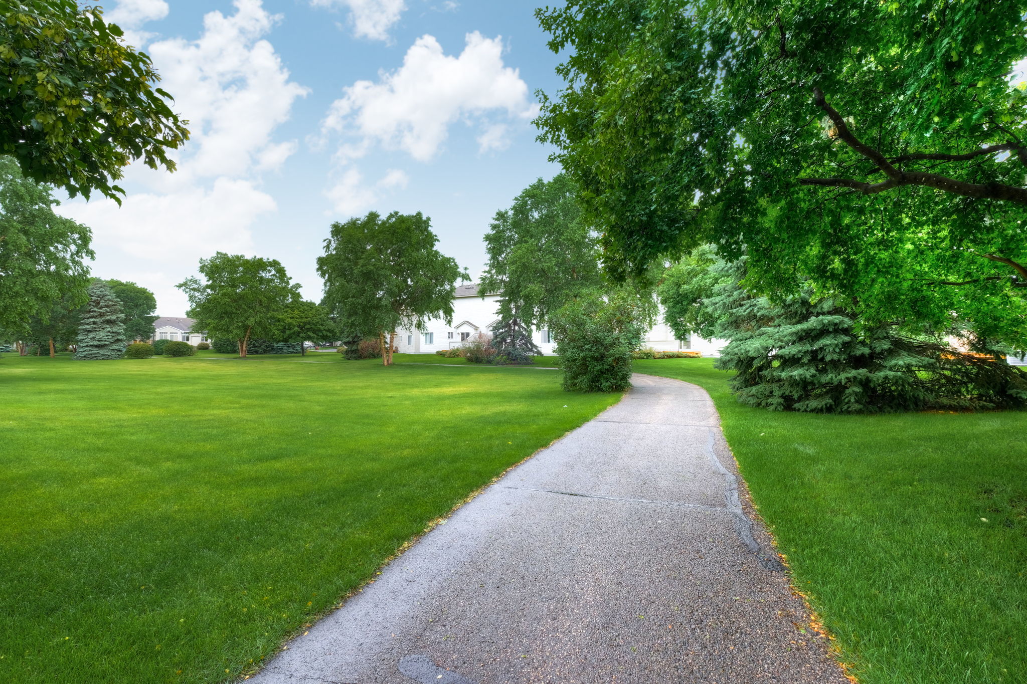 Driveway
