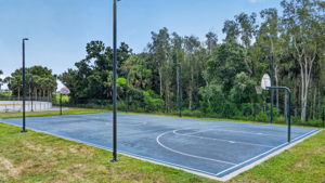  Photo 85