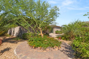  Photo 44