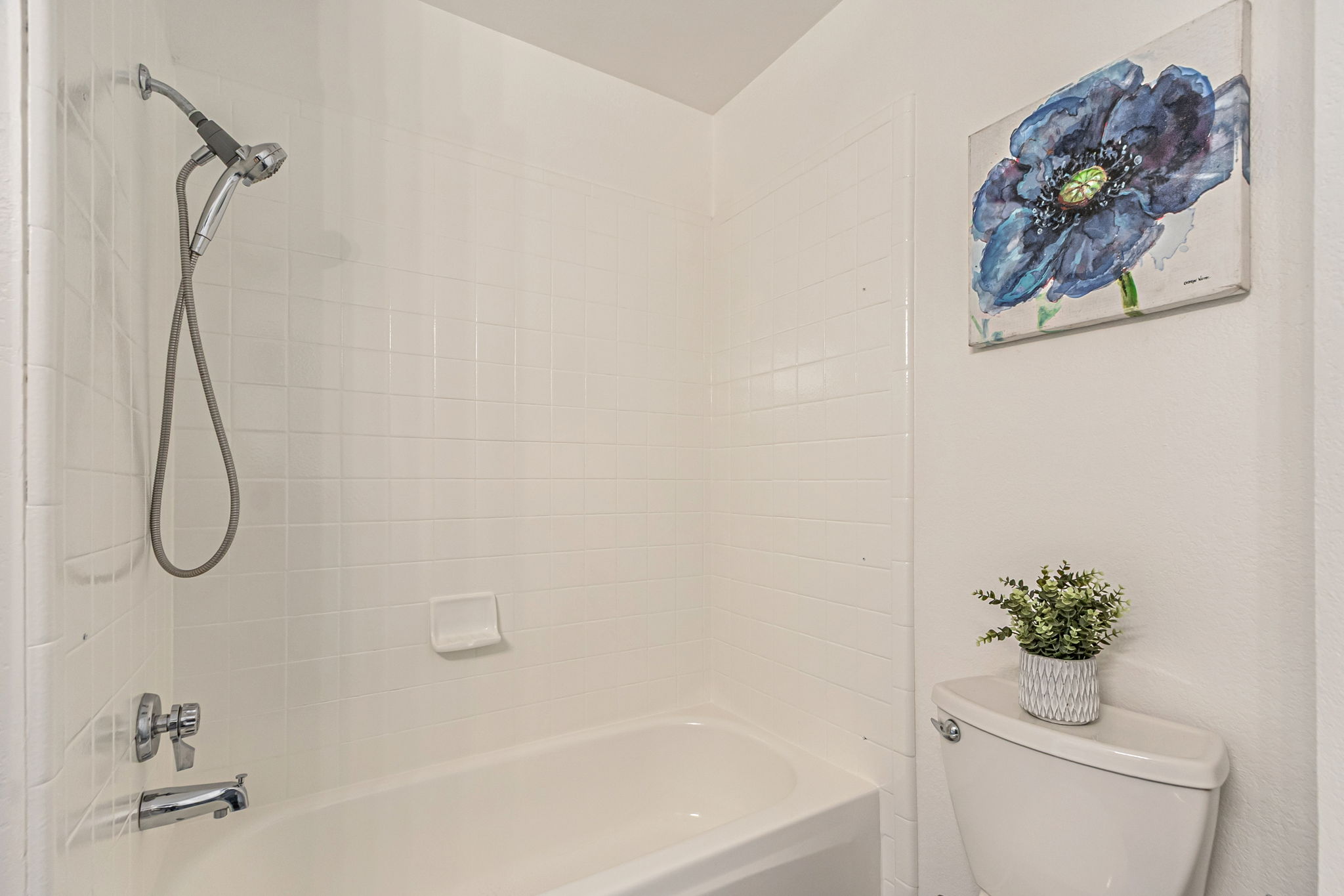 Master Bath/Tub-Shower combo