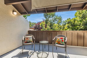 Rear Patio