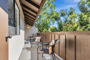 Rear Patio