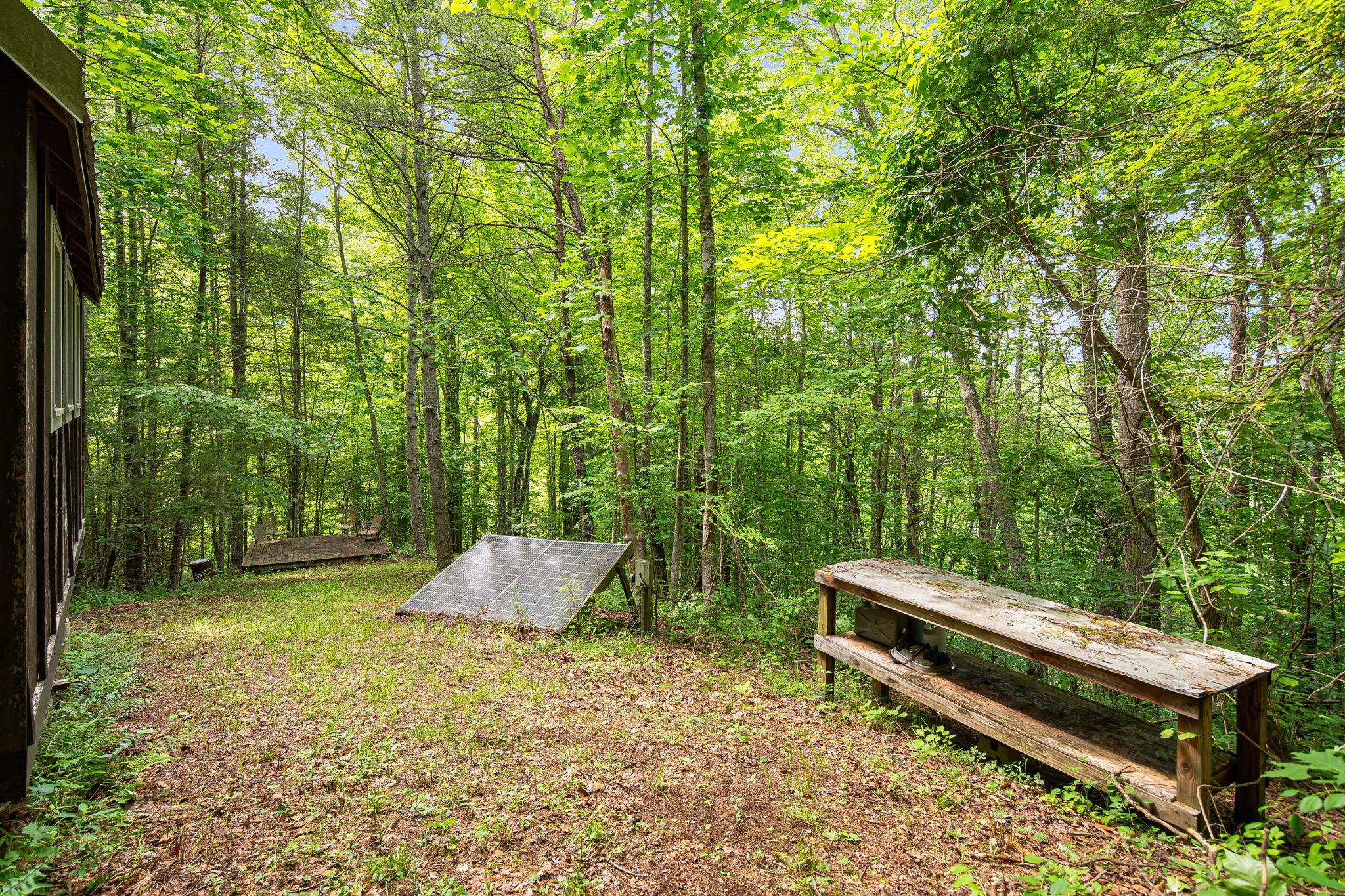 View from tiny house entrance