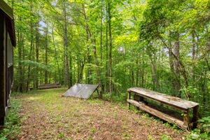View from tiny house entrance