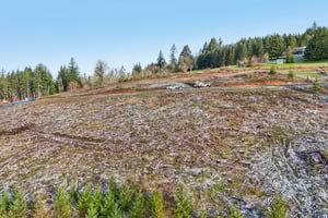 Anderson Dr-S1103-005.jpg