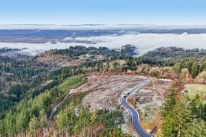 Anderson Dr-S1103-018.jpg