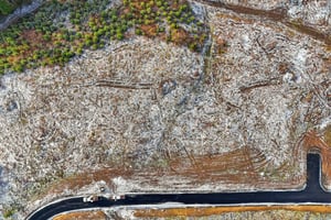 Anderson Dr-S1103-022.jpg