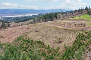 - Anderson Dr-S1803-006.jpg