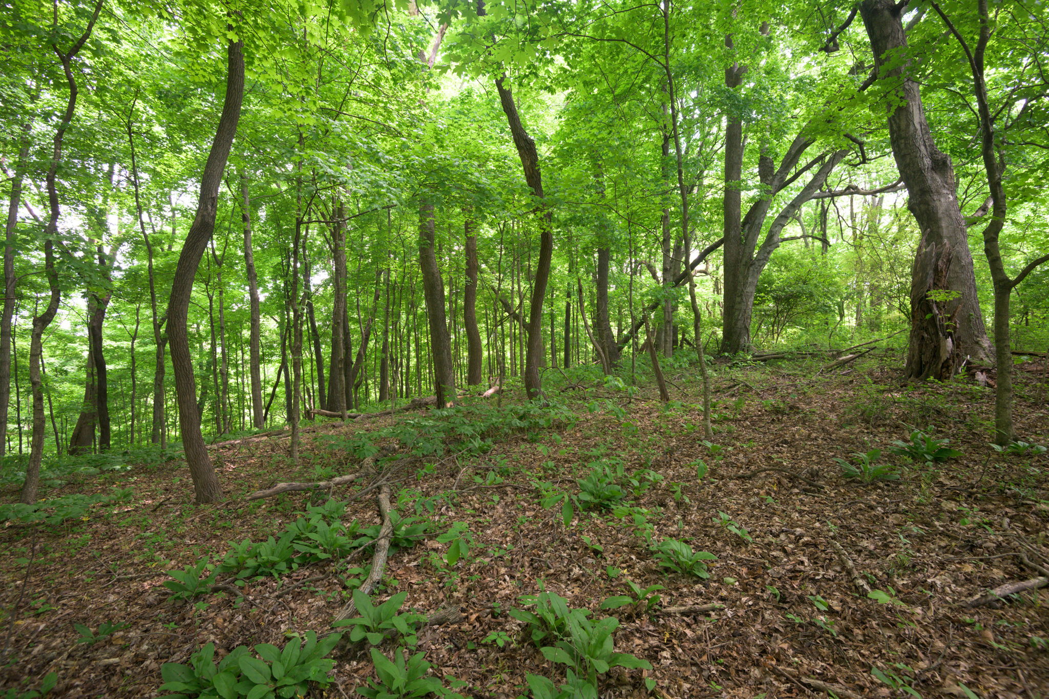  Photo 25