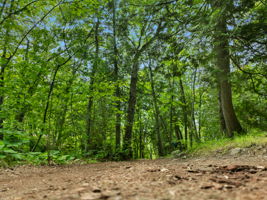  Photo 50