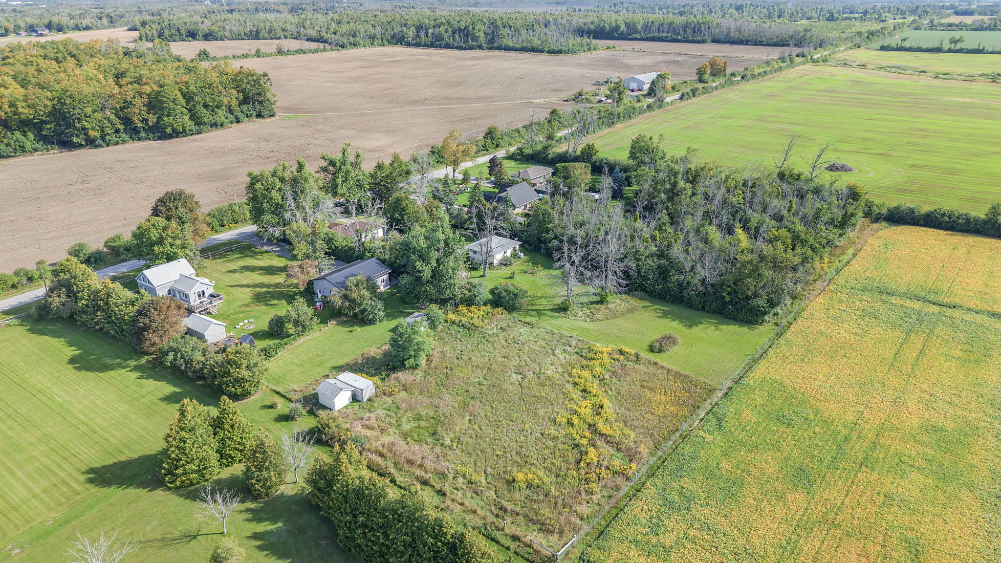  Photo 46