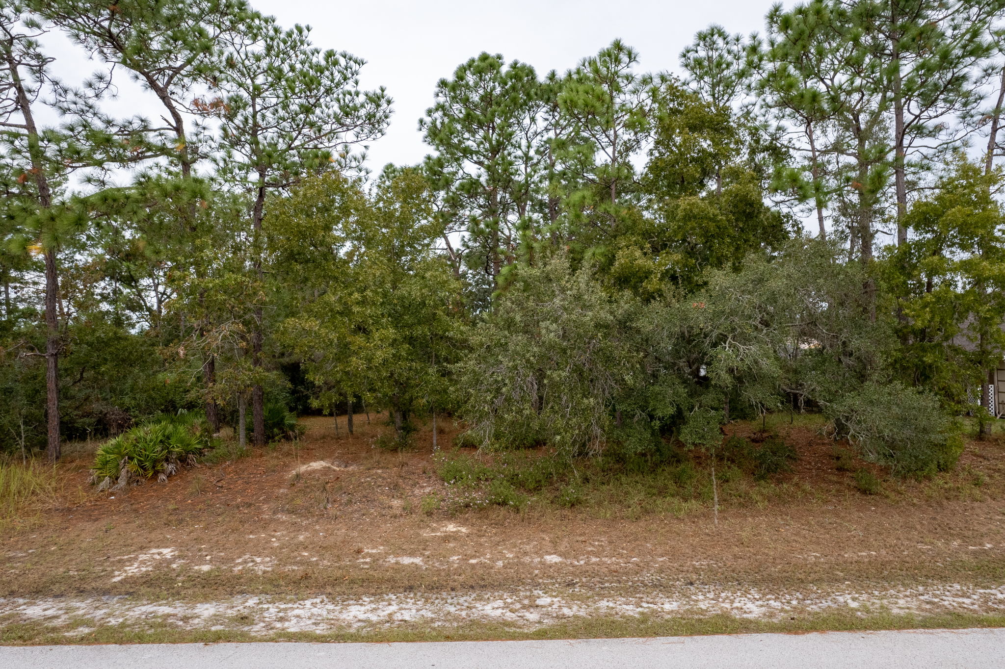 Beach Rd, Spring Hill, FL 34606, USA Photo 18