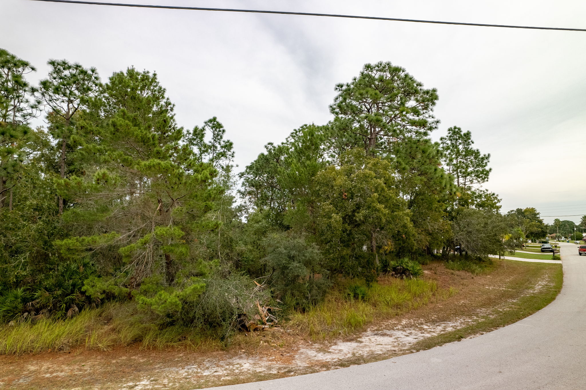 Beach Rd, Spring Hill, FL 34606, USA Photo 17