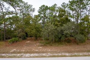 Beach Rd, Spring Hill, FL 34606, USA Photo 17