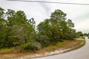 Beach Rd, Spring Hill, FL 34606, USA Photo 16