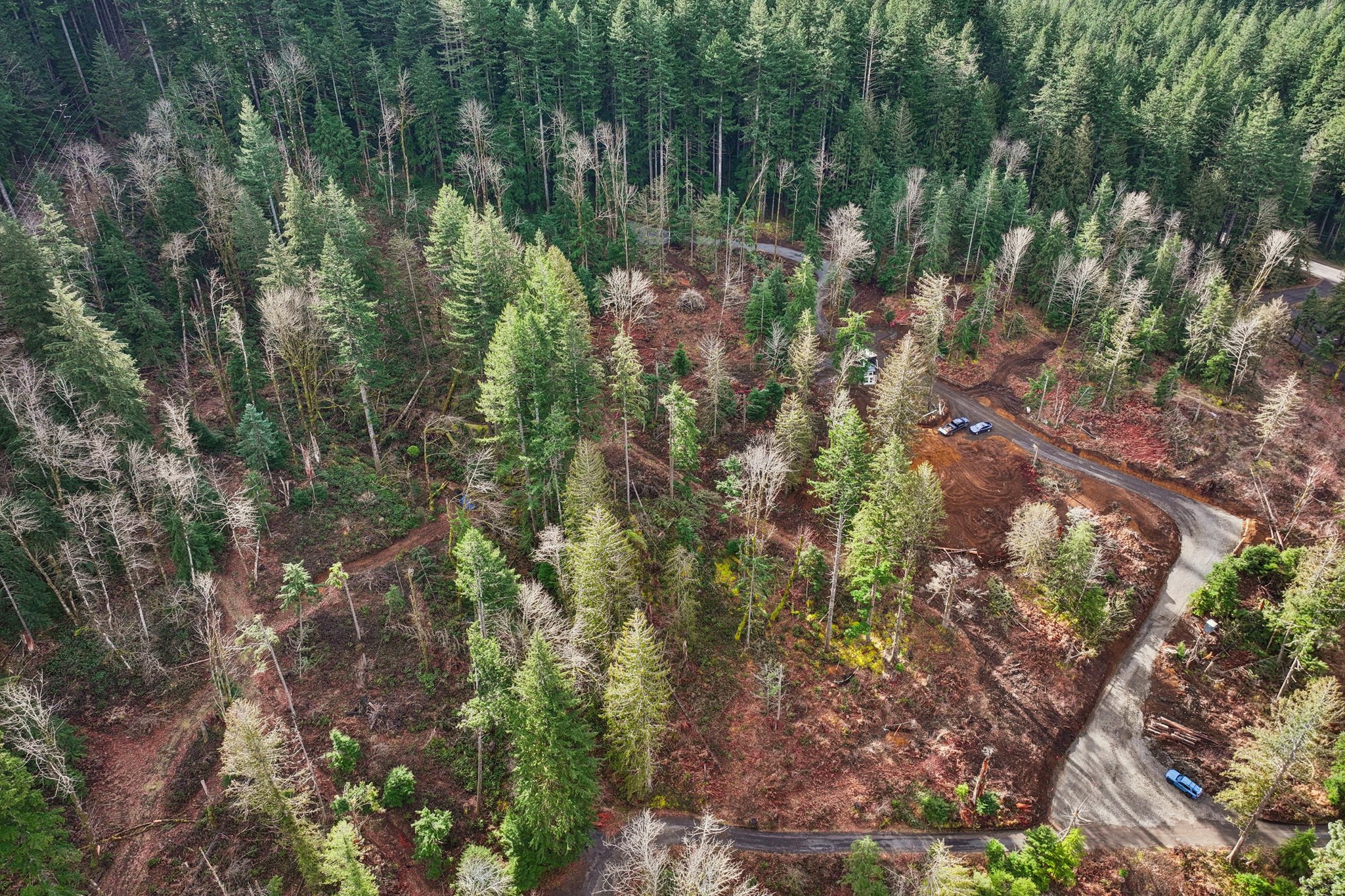 Belle Lake Rd Lot 1-S0902-003.jpg