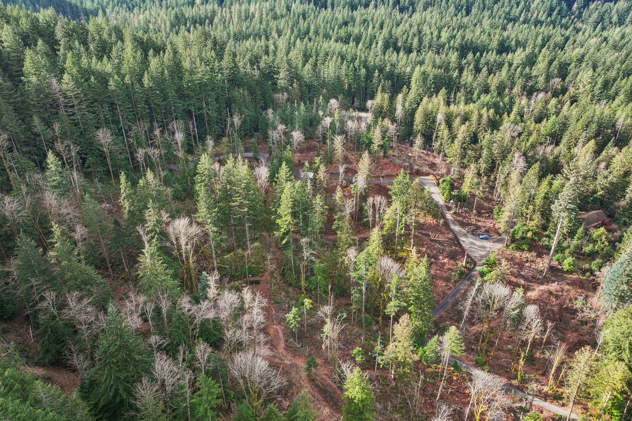 Belle Lake Rd Lot 1-S0902-004.jpg