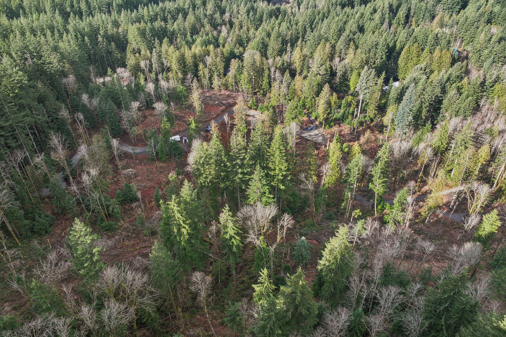 Belle Lake Rd Lot 1-S0902-005.jpg