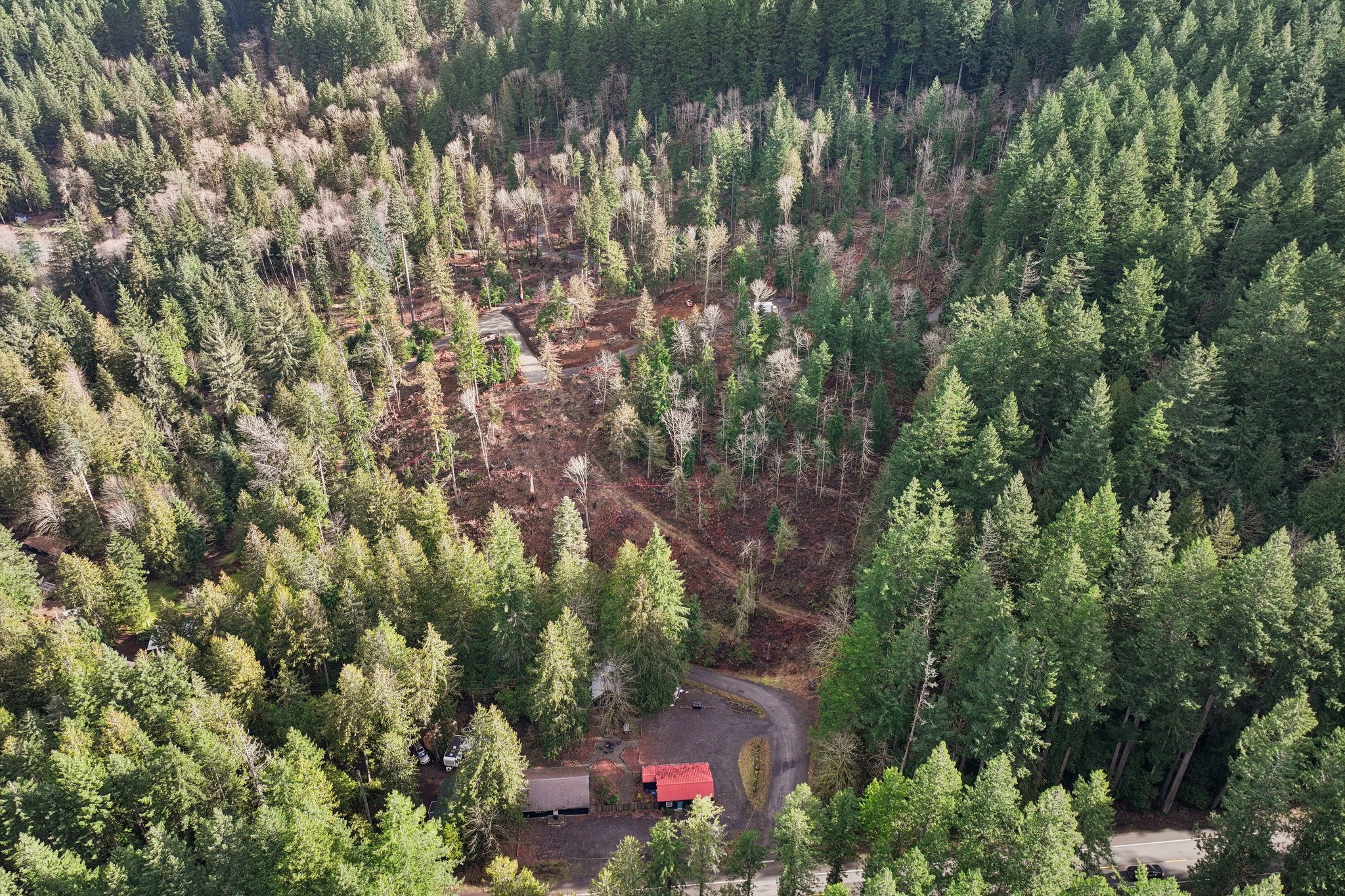 Belle Lake Rd Lot 123-S0902-003.jpg