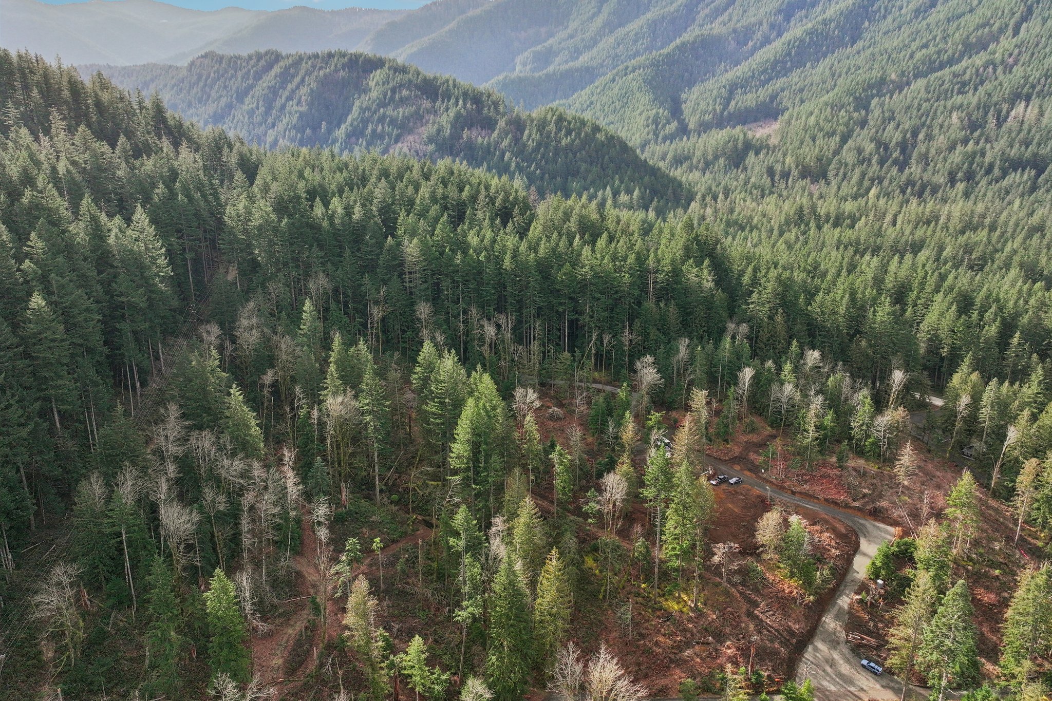 Belle Lake Rd Lot 123-S0902-004.jpg