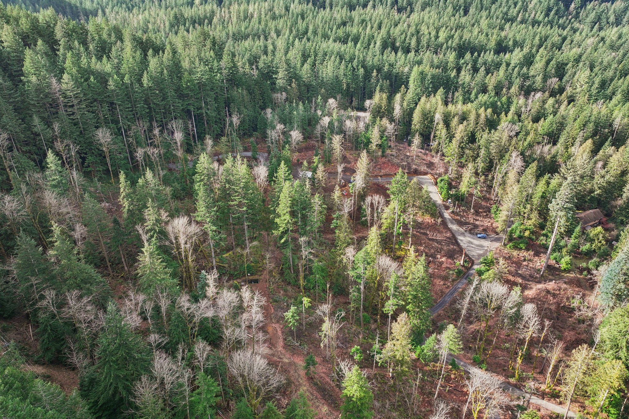 Belle Lake Rd Lot 123-S0902-005.jpg