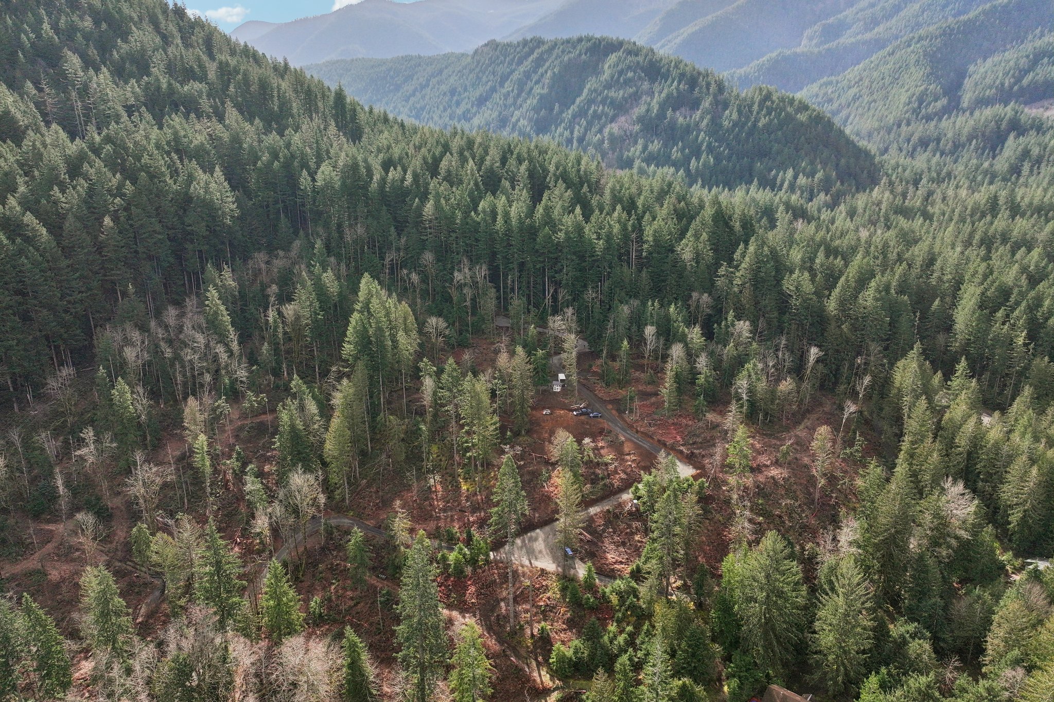 Belle Lake Rd Lot 123-S0902-006.jpg