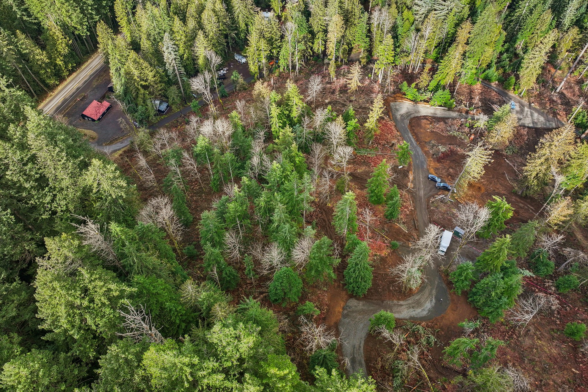 Belle Lake Rd Lot 2-S0902-001.jpg