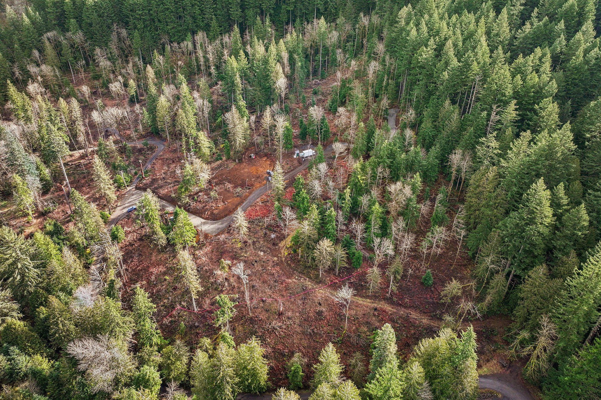 Belle Lake Rd Lot 2-S0902-003.jpg